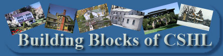 Building Blocks of CSHL Logo